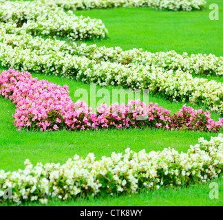 Beautiful flower garden in Schonbrunn palace - Vienna Austria Stock Photo