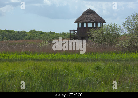 Norfolk Wildlife Trust. Hickling Broad, NNR, Norfolk. Largest of the broads. Norfolk Reed thatched Observation Hut. Stock Photo