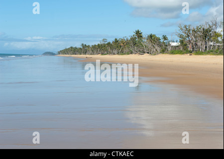 Palm-fringed Wongaling Beach of Mission Beach on Cassowary Coast at Far North Queensland, Australia Stock Photo