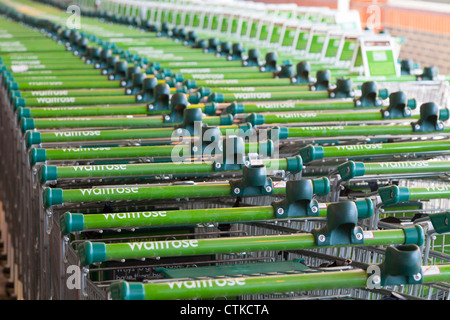 rows of waitrose supermarket trollys Stock Photo
