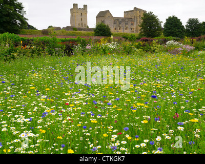 Helmsley Castle overlooking the Helmsley Walled Garden with a wildflower meadow planting Stock Photo