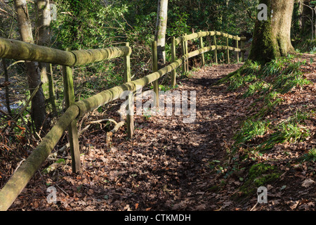 Wooden fence along leafy woodland riverside path through trees in Afon Dwyfor River valley near Llanystumdwy, Gwynedd, North Wales, UK Stock Photo