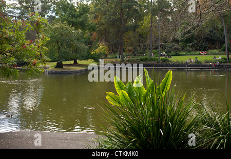 Brisbane Botanic gardens in Queensland Stock Photo