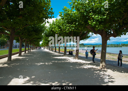 Rheinpromenade riverside Promenade by river Rhine in Mainz city state of Rhineland-Palatinate Germany Europe Stock Photo