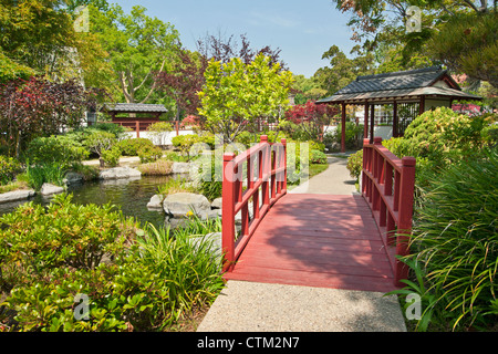 The beautiful Japanese Gardens located in the City of Hope Cancer Center. Stock Photo