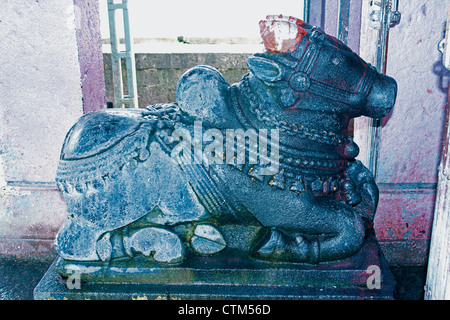 Nandi at Shri Koteshwar Temple Situated between Village Limb and Gove in Middle of River Krishna, Satara, Maharashtra, India Stock Photo