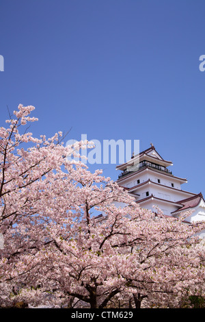 Aizuwakamatsu Castle and cherry blossom in Fukushima, Japan Stock Photo