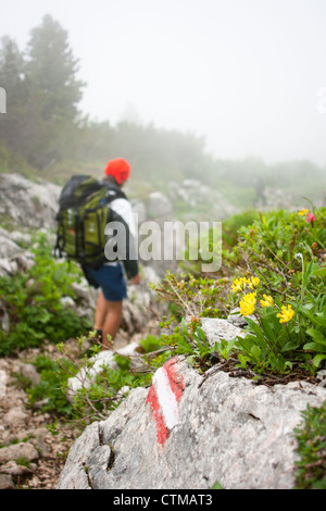 In the Austrian Alps, a hiker in a rain suit stands at a viewpoint ...
