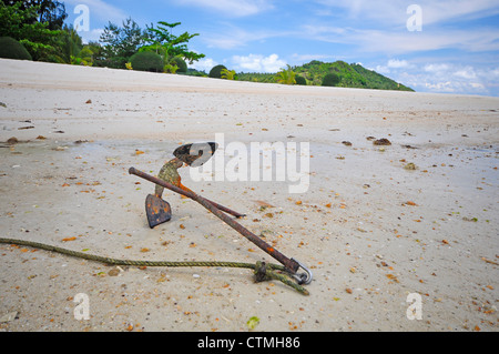 Anchor on Beach with blue sky Stock Photo