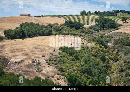 Hills views at Paso Robles in San Luis Obispo County, California, United States Stock Photo