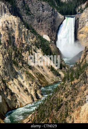 Lower Falls of Yellowstone River from Artists Point, Grand Canyon of the Yellowstone, Yellowstone National Park, Wyoming, USA Stock Photo