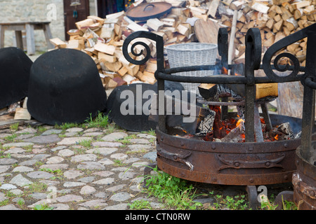 Tree pots near firewood and burning open fireplace Stock Photo