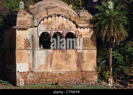 A Royal Bengal Tiger sitting inside the Ancient Palace in the left window. (Panthera Tigris) Stock Photo