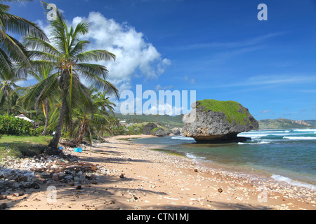 A lonely beach at Bathsheba, on the Atlantic side of Barbados, Lesser Antilles Stock Photo
