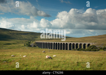 Sheep graze in front of Ribblehead Viaduct in the Yorkshire Dales of England Stock Photo
