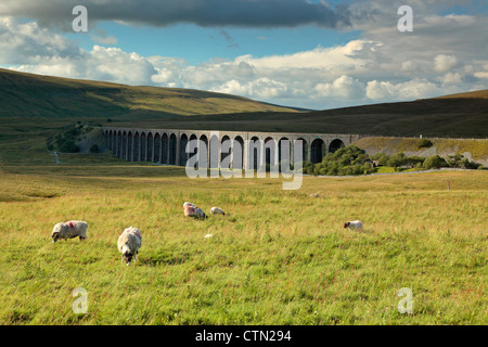 Sheep graze in front of Ribblehead Viaduct in the Yorkshire Dales of England Stock Photo