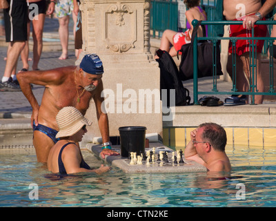 People playing chess in the water at Szechenyi thermal baths, Budapest, Hungary, Eastern Europe Stock Photo