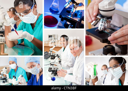 Two female medical or scientific researchers using microscopes working in a laboratory one Indian Asian one Caucasian Stock Photo