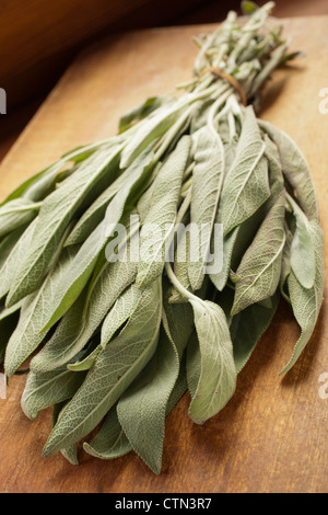 bunch of sage leaves Stock Photo