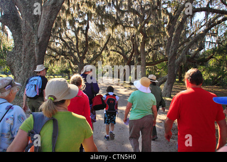 Park Ranger Tour Near Ice House, Cumberland Island National Seashore, Georgia, USA Stock Photo