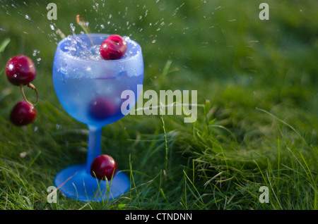 Cherries tumbling into a blue glass filled with water with out of focus green background. Stock Photo