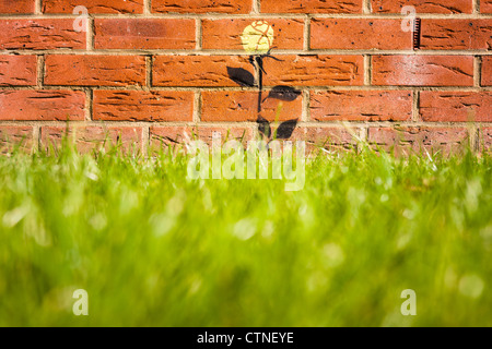 A spray painted rose on a red brick wall by street artist Flower Guy along the Thames Path in Woolwich, London, UK. Stock Photo