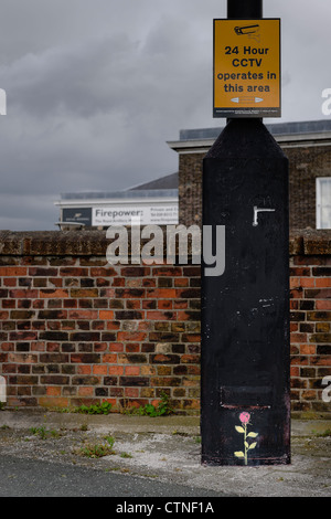 A stencilled pink rose on a CCTV post in Woolwich Arsenal. Stock Photo