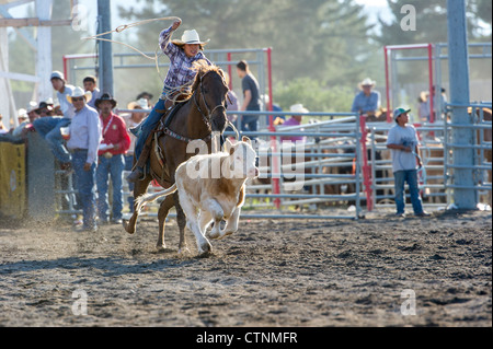 Breakaway calf roping event at the Tsuut'ina Annual Rodeo & PowWow Alberta Canada Stock Photo