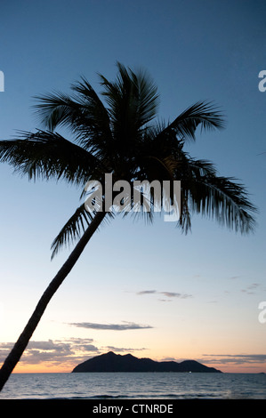 Sunrise at Wongaling beach, a section of Mission Beach, with palm, Cassowary Coast, North Queensland, Australia Stock Photo