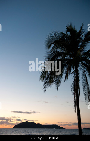 Sunrise at Wongaling beach, a section of Mission Beach, with palm, Cassowary Coast, North Queensland, Australia Stock Photo