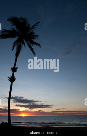 Sunrise at Wongaling beach, a section of Mission Beach, with palm, Cassowary Coast, North Queensland, Australia Stock Photo