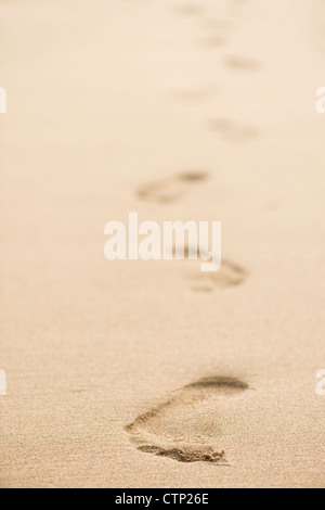 foot steps in sand on holiday Stock Photo