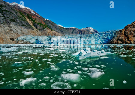 Summer ice bergs float in front of South Sawyer Glacier in Tracy Arm, Tracy Arm-Fords Terror Wilderness, Souhteast Alaska Stock Photo