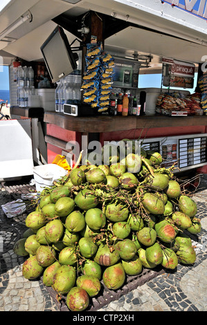 green coconut Rio de Janeiro Brazil South America Stock Photo