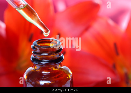 Herbal Medicine Tincture with Flowers (red lilies) Stock Photo