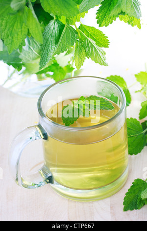 Mint tea with fresh mint leaves Stock Photo
