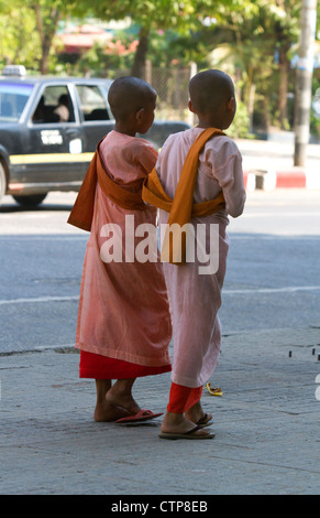 Young buddhist nuns in (Rangoon) Yangon, (Burma) Myanmar. Stock Photo