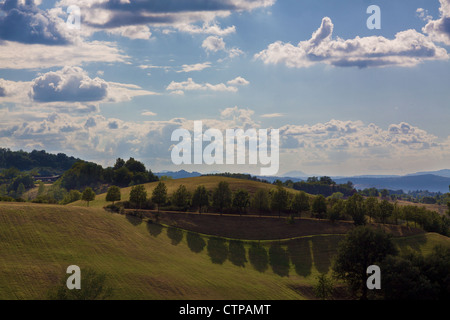 Idilliac landscape, pile of trees on the top of a hill with a lovely cloudy deep blue sky Stock Photo