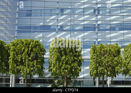 Shaped trees in front of modern glass office building Stock Photo