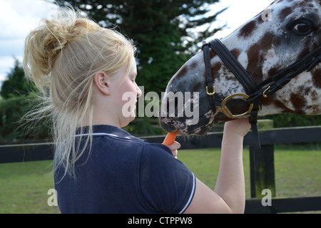 Teenage girl with appaloosa horse, Stanwell Moor, Surrey, England, United Kingdom Stock Photo