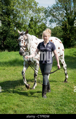 Teenage girl with appaloosa horse, Stanwell Moor, Surrey, England, United Kingdom Stock Photo