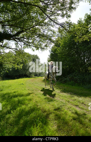 Teenage girl riding appaloosa horse, Stanwell Moor, Surrey, England, United Kingdom Stock Photo