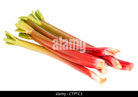 Fresh picked rhubarb stalks isolated on white Stock Photo