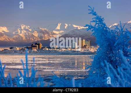Hoarfrost covers trees along Anchorage skyline icy Cook Inlet in foreground on cold mid winter day Southcentral Alaska Stock Photo