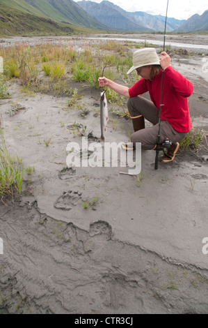 Woman fishing pole Dolly Varden Char kneels examine Grizzly bear tracks in mud along Canning River in Brooks Range Arctic Stock Photo