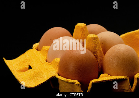 Close-up of six fresh eggs inside an egg box - studio shot with a black background Stock Photo