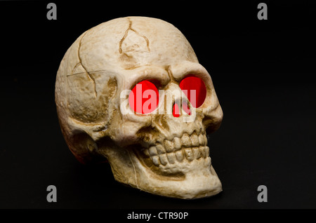 Scary human skull for halloween - studio shot with a black background Stock Photo