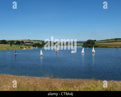 Sailing dinghies. Wimbaleball Reservoir. Somerset. UK Stock Photo