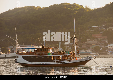 The busy harbor of Labuan Bajo on the Indonesian Island of Flores is the jumping off place for visitors to Komodo Island. Stock Photo