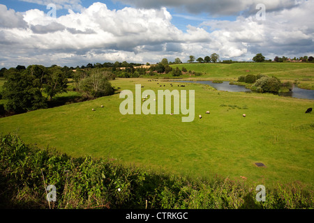 Across the fields from the Shropshire Union canal near Audlem, Cheshire looking North West towards Nantwich, UK Stock Photo